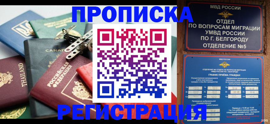 временная регистрация недорого в Щиграх